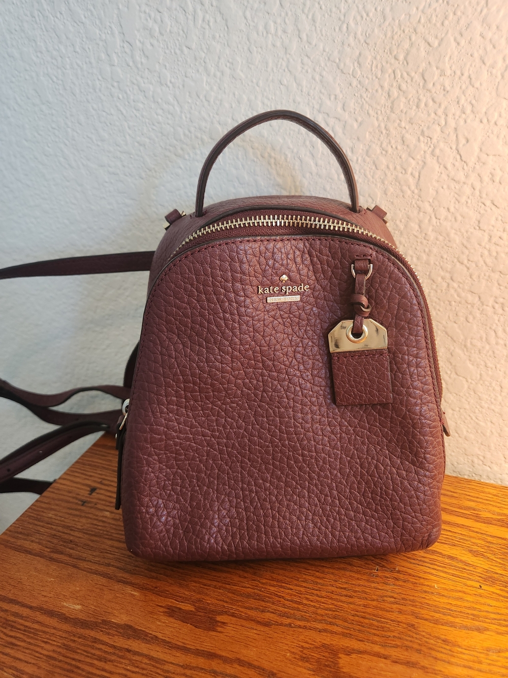 Kate Spade Burgundy Mini Caden Carter Bag